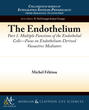 The Endothelium, Part I