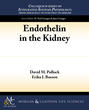 Endothelin in the Kidney