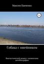 Собака с ошейником