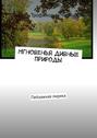 Мгновенья дивные природы. Пейзажная лирика