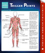Trigger Points (Speedy Study Guides)