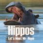 Hippos - Let's Meet Mr. Hippo