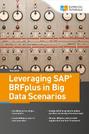 Leveraging SAP BRFplus in Big Data Scenarios