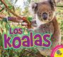Los koalas