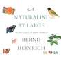 A Naturalist at Large - The Best Essays of Bernd Heinrich (Unabridged)