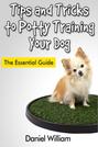 Tips and Tricks to Potty Training Your Dog: The Essential Guide