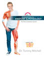 Introduction to Anatomy & Physiology: The Musculoskeletal System Vol 1