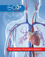 Complex Circulatory System, The