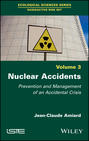 Nuclear Accidents