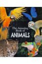 Amazing Book of Animals, the (PB)