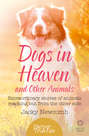 Dogs in Heaven: and Other Animals: Extraordinary stories of animals reaching out from the other side
