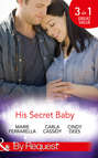 His Secret Baby: The Agent's Secret Baby