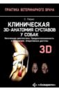 Клиническая 3D-анатомия суставов у собак. Визуальная диагностика. Предрасположенность к патологиям