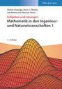 Mathematik in den Ingenieur- und Naturwissenschaften 1