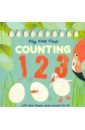Flip, Flap, Find! Counting 1, 2, 3