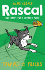 Rascal: Trapped on the Tracks
