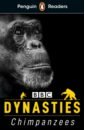 Dynasties. Chimpanzees (Level 3) +audio