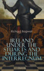 Ireland under the Stuarts and During the Interregnum (Vol.1-3)