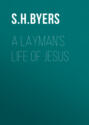 A Layman's Life of Jesus