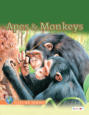 Apes and Monkeys