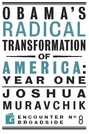 Obama's Radical Transformation of America: Year One