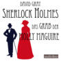 Sherlock Holmes - Eine Studie in Angst, Band 2: Das Grab der Molly Maguire