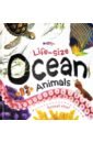 Life-size: Ocean Animals (board book)