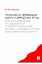 Уголовно-правовая охрана права на труд лиц, нуждающихся в повышенной социальной защите