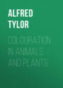 Colouration in Animals and Plants