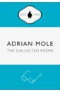 Adrian Mole. The Wilderness Years