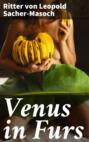 Venus in Furs