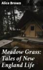 Meadow Grass: Tales of New England Life