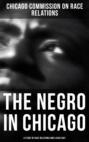 The Negro in Chicago - A Study of Race Relations and a Race Riot