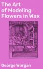 The Art of Modeling Flowers in Wax
