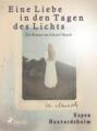 Eine Liebe in den Tagen des Lichts - Roman um Edvard Munch