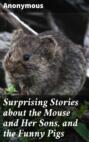 Surprising Stories about the Mouse and Her Sons, and the Funny Pigs