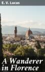 A Wanderer in Florence