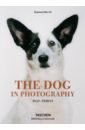 The Dog in Photography 1839–Today