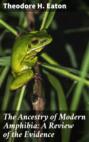 The Ancestry of Modern Amphibia: A Review of the Evidence