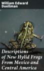 Descriptions of New Hylid Frogs From Mexico and Central America