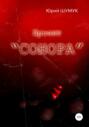 Проект &laquo;Сонора&raquo;