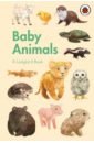Ladybird Book. Baby Animals