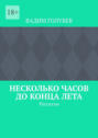 Несколько часов до конца лета. Рассказы
