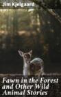 Fawn in the Forest and Other Wild Animal Stories