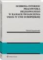 Ochrona interesu pracownika delegowanego w ramach świadczenia usług w Unii Europejskiej