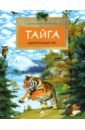 Тайга. Удивительный лес