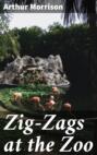 Zig-Zags at the Zoo