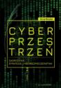 Cyberprzestrzeń. Zagrożenia. Strategie cyberbezpieczeństwa