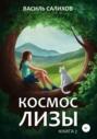 Космос Лизы. Книга 2