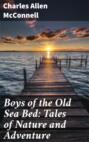 Boys of the Old Sea Bed: Tales of Nature and Adventure